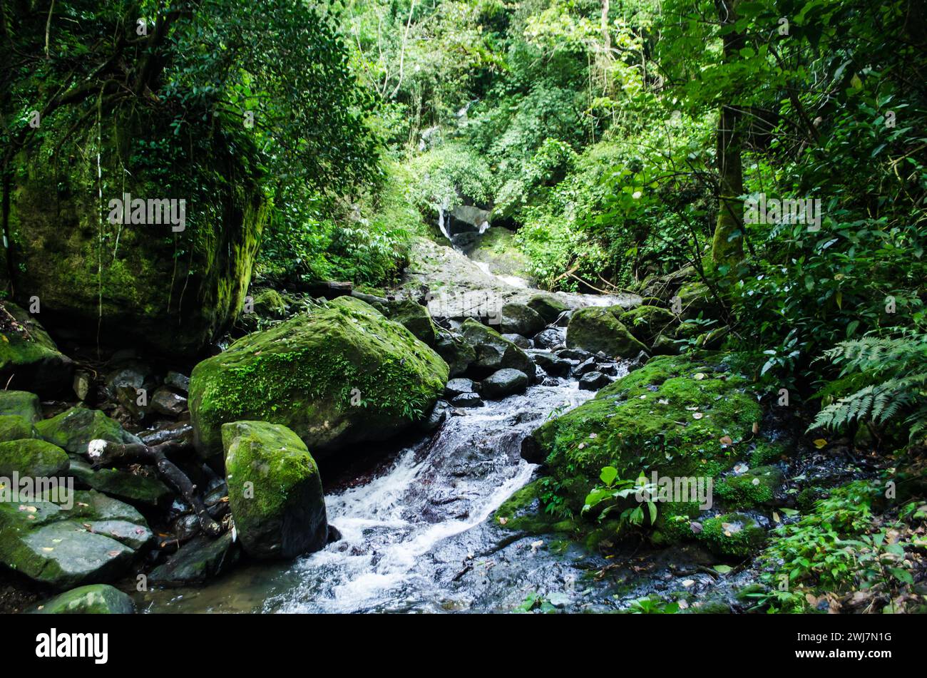 Beautiful creek with crystal-clear waters descending from the Sleeping Indian mountain in the Anton Valley. Stock Photo