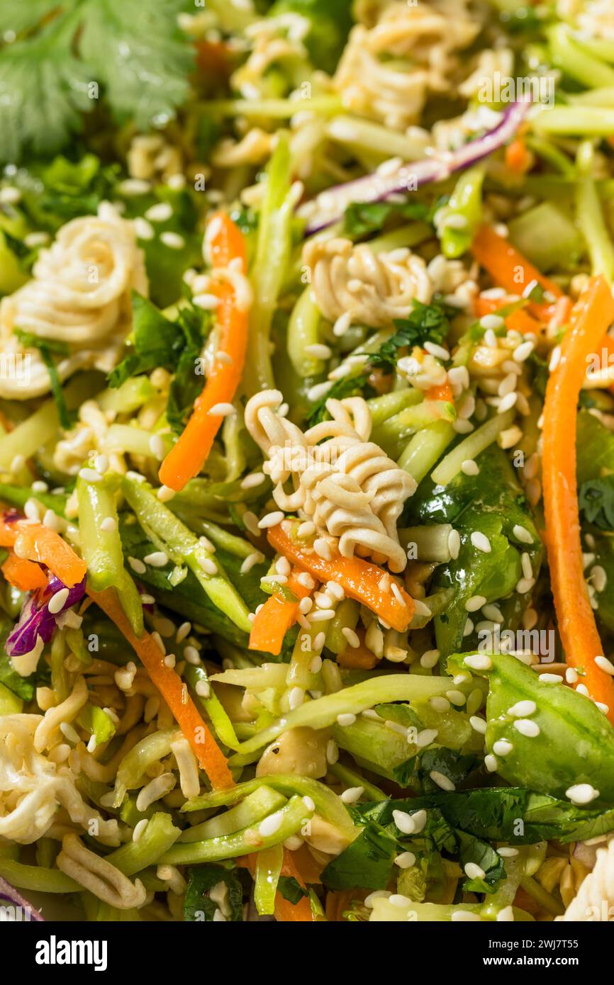 Raw Organic Asian Crunchy Ramen  Salad with Cabbage and Cilantro Stock Photo