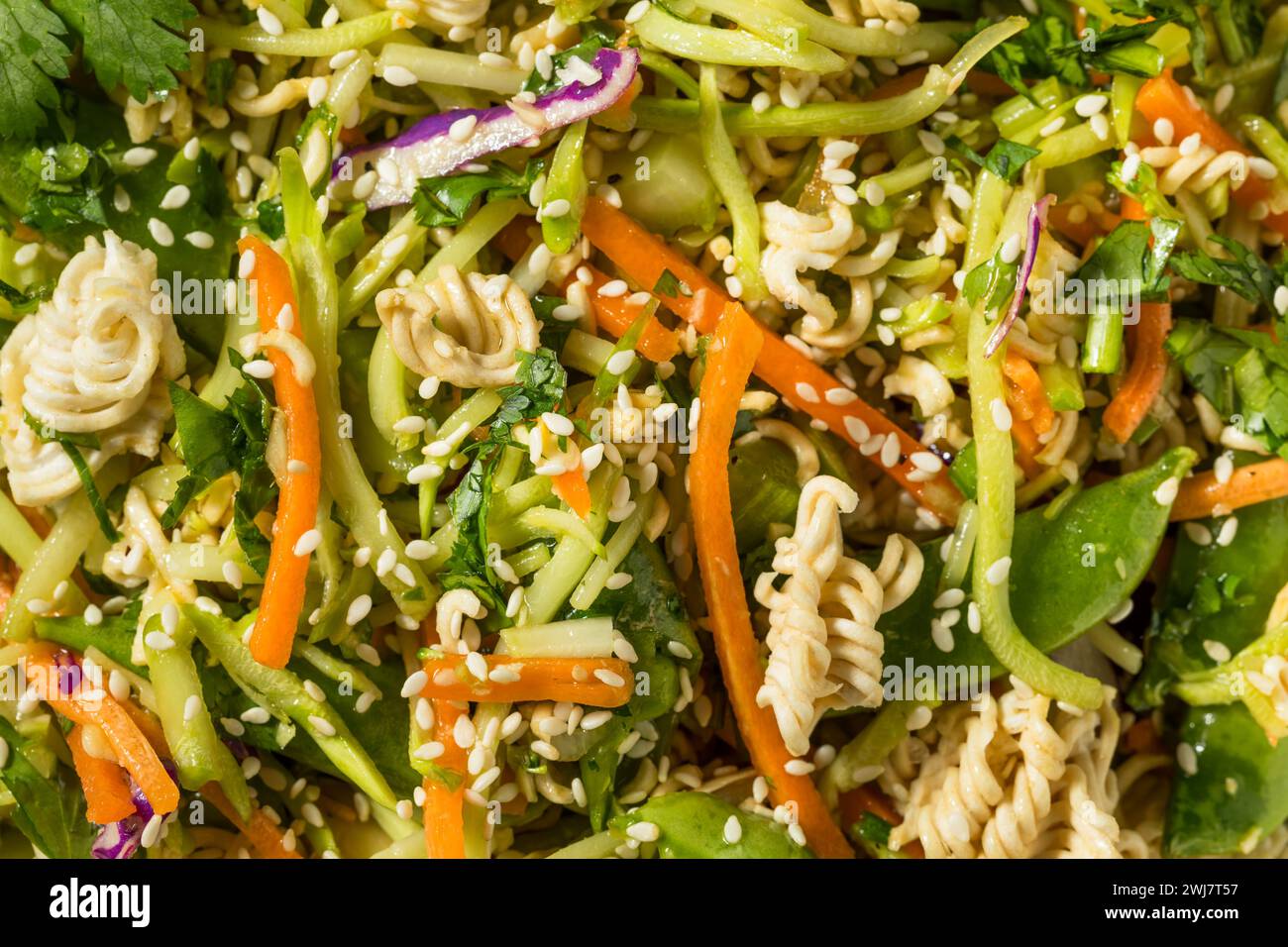 Raw Organic Asian Crunchy Ramen  Salad with Cabbage and Cilantro Stock Photo