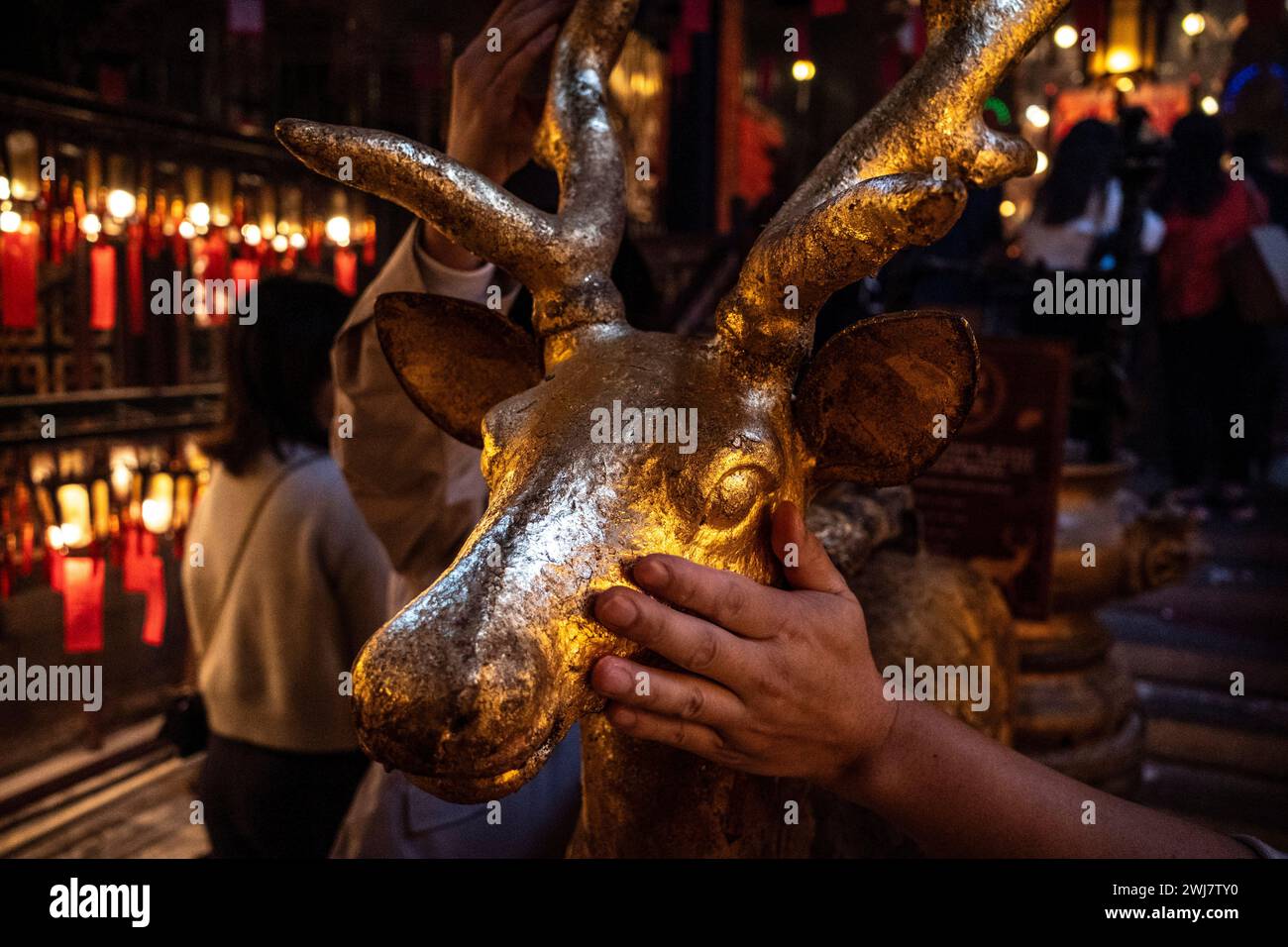 Hong Kong Hong Kong 13th Feb 2024 Worshippers Touch The Deer Statue hong-kong-hong-kong-13th-feb-2024-worshippers-touch-the-deer-statue