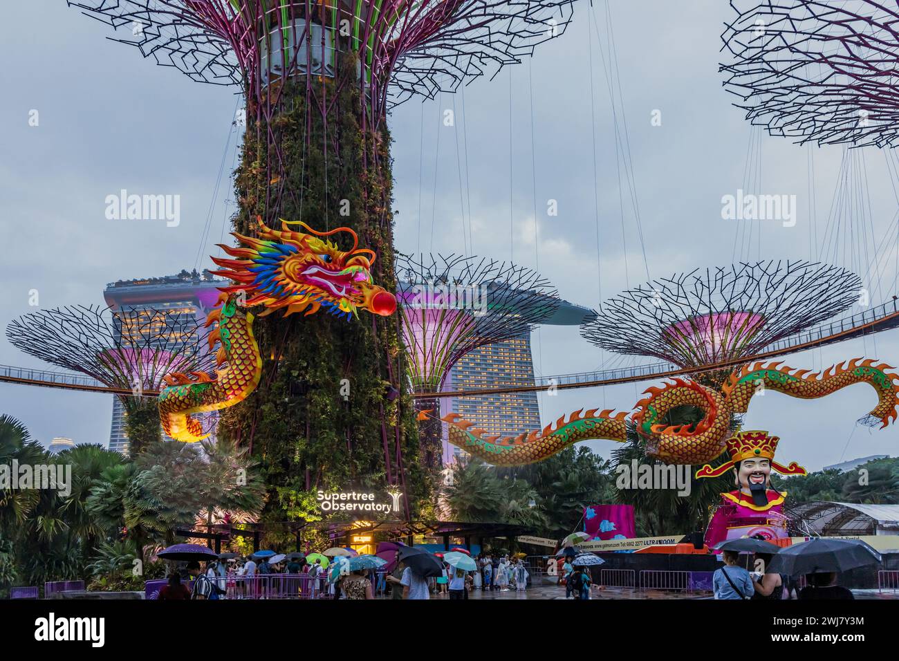 A dragon-shaped light installation around the Supertrees to celebrate the Chinese Lunar New Year at Singapore's Gardens by the Bay. Stock Photo