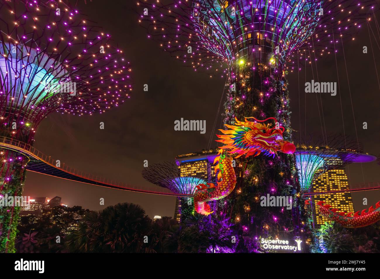 A dragon-shaped light installation around the Supertrees to celebrate the Chinese Lunar New Year at Singapore's Gardens by the Bay. Stock Photo