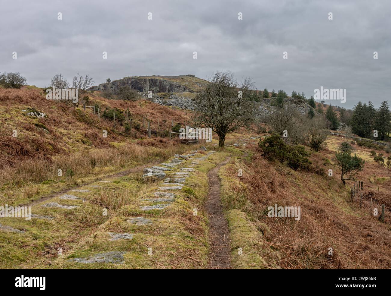 Disused Liskeard & Caradon Railway line on Bodmin Moor with Stowe Hill ...