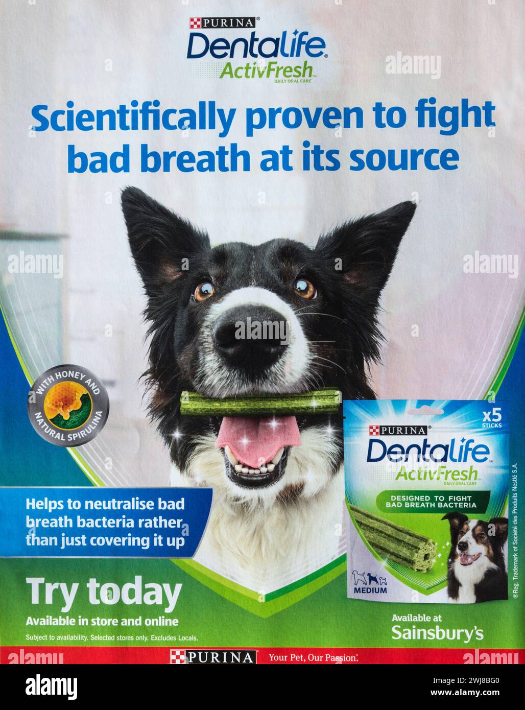 Magazine advertisement for Purina Dentalife ActivFresh dog chews, to cure bad breath. Sainsbury's Magazine. July 2023. Stock Photo