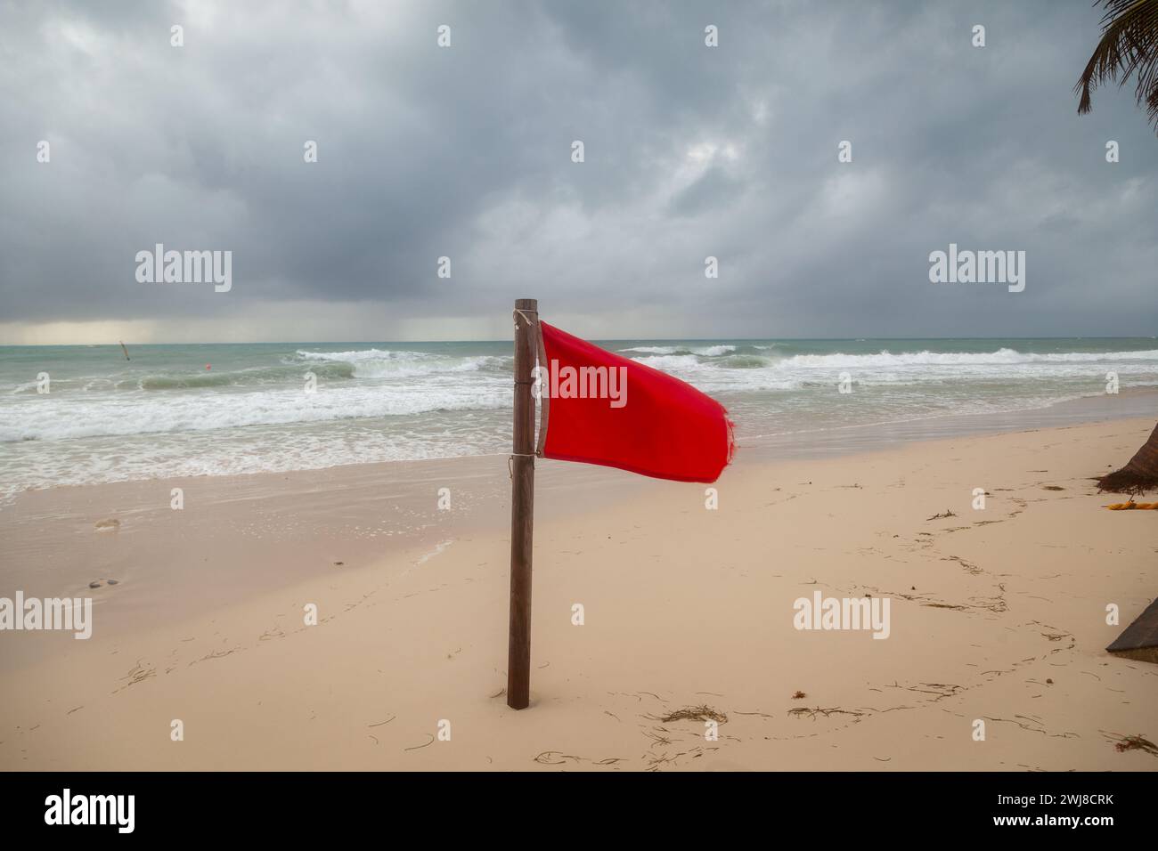 Red flag warnings on a Mexican beach after a hurricane Stock Photo Alamy