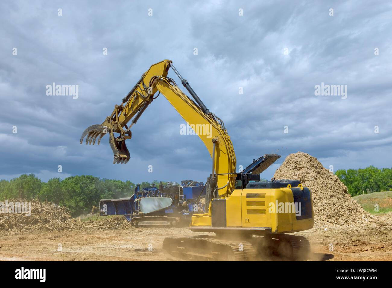 Forestry mulcher in loading roots trees to of industrial shredder ...
