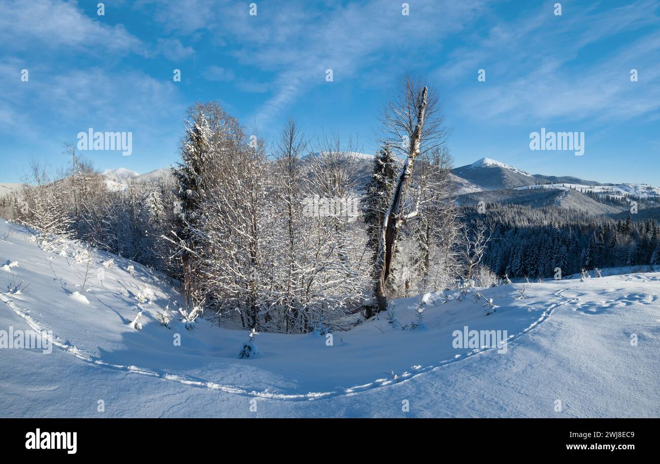 Winter picturesque Gorgany massiv mountains scenery view from Yablunytsia pass, Carpathians, Ukraine. Stock Photo
