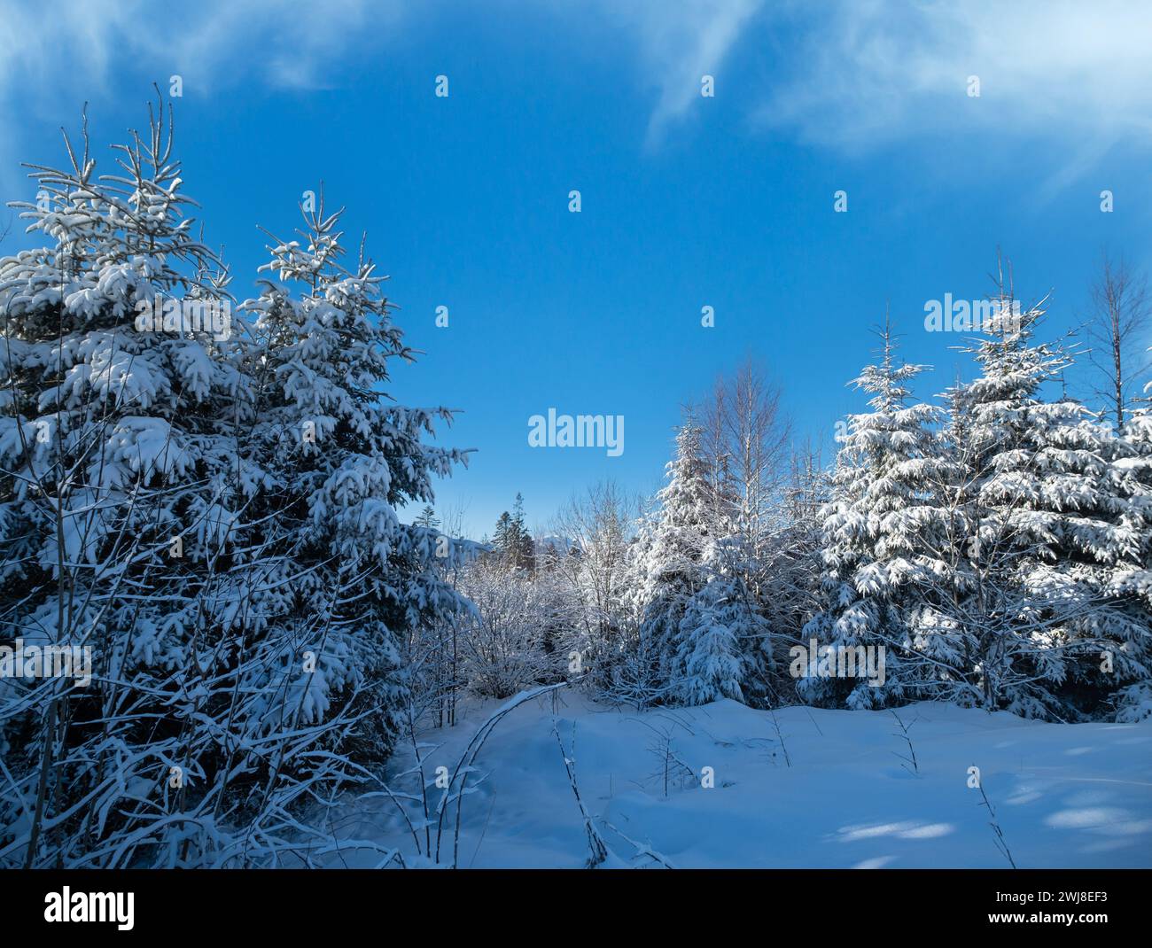 Winter picturesque  mountains scenery view from Yablunytsia pass, Carpathians, Ukraine. Stock Photo