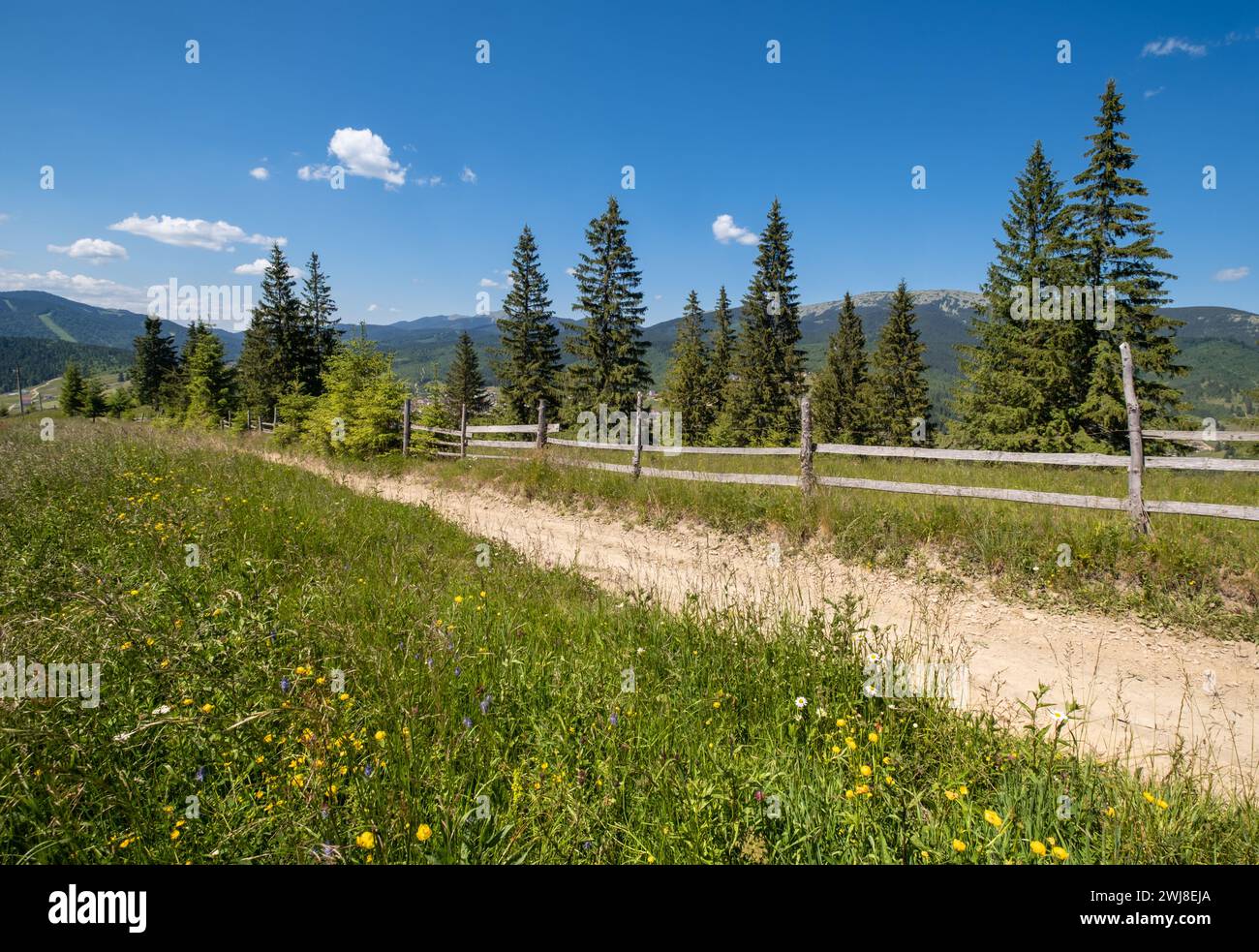 Summer picturesque Gorgany massiv mountains scenery view from Sevenei hill (near Yablunytsia pass, Carpathians, Ukraine.) Stock Photo