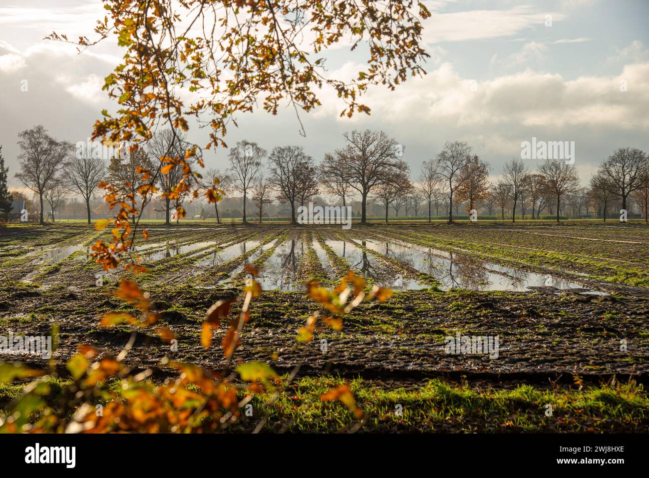 wet farmland after rainy weather in Achterhoek, Gelderland, Holland Stock Photo