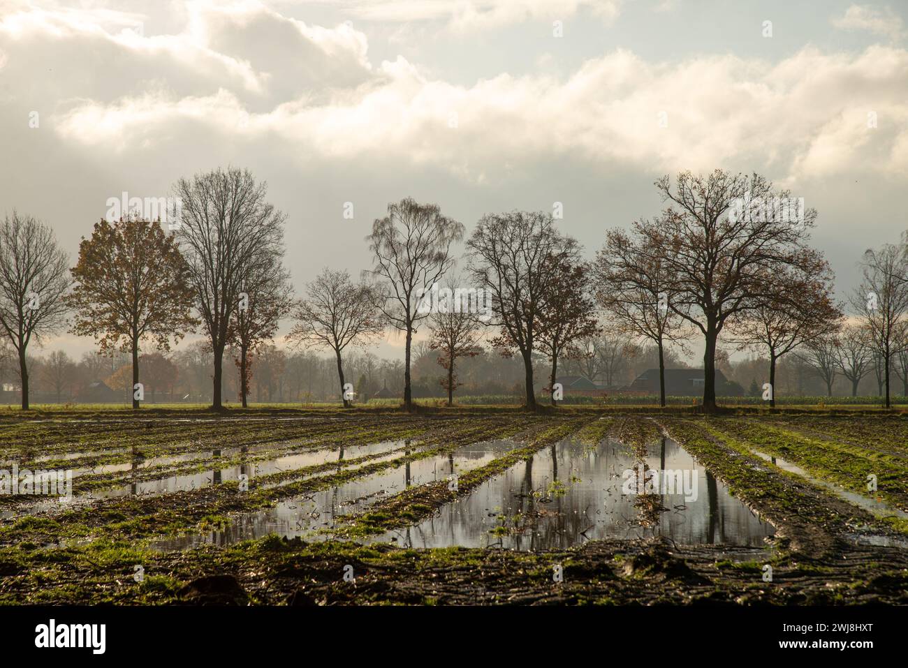 wet farmland after rainy weather in Achterhoek, Gelderland, Holland Stock Photo