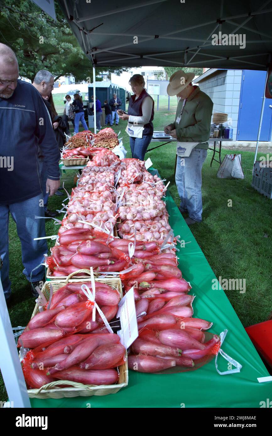 Garlic seller at Hudson Valley Garlic Festival, Saugerties, New York