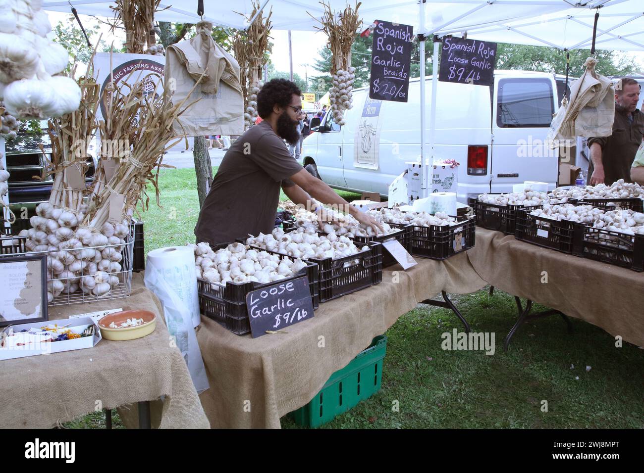 Garlic seller at Hudson Valley Garlic Festival, Saugerties, New York