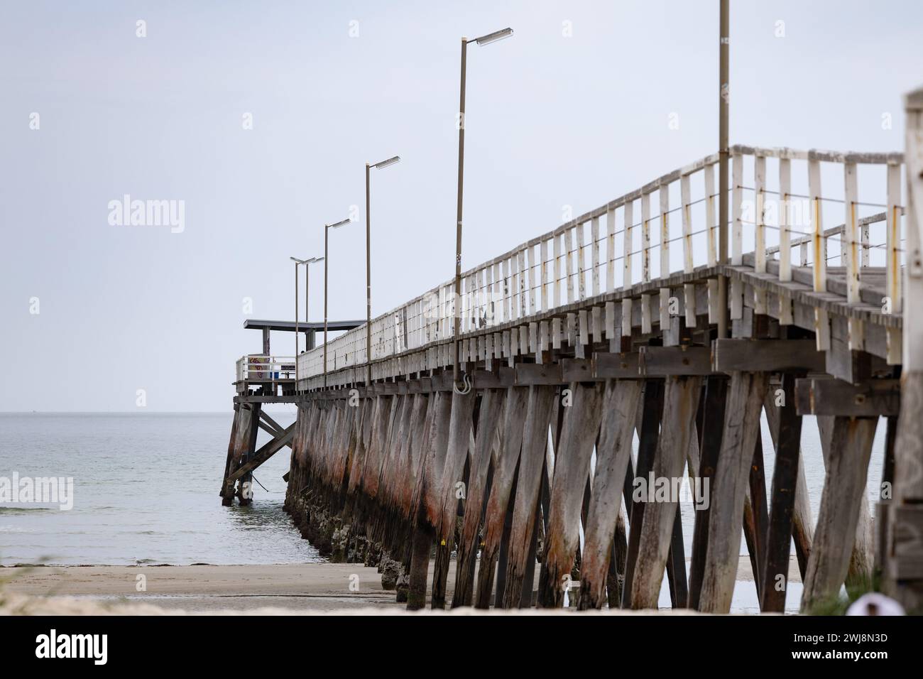 The wooden Largs North Jetty on an calm day in South Australia on 18th September 2023 Stock Photo