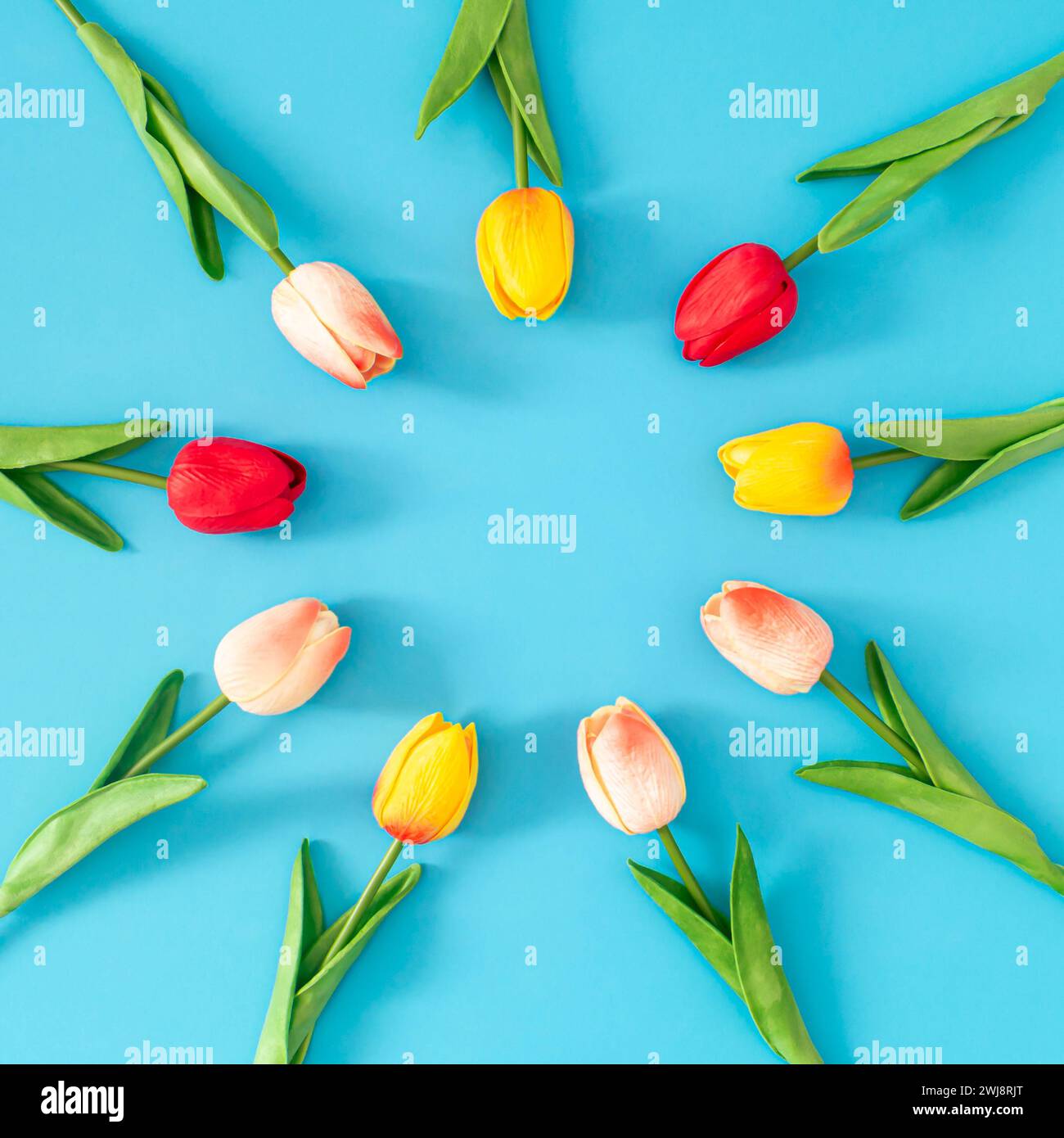 Creative composition of colorful tulip flowers on blue background. Round frame versatile for spring, summer, Mother's Day, weddings. Minimal concept. Stock Photo