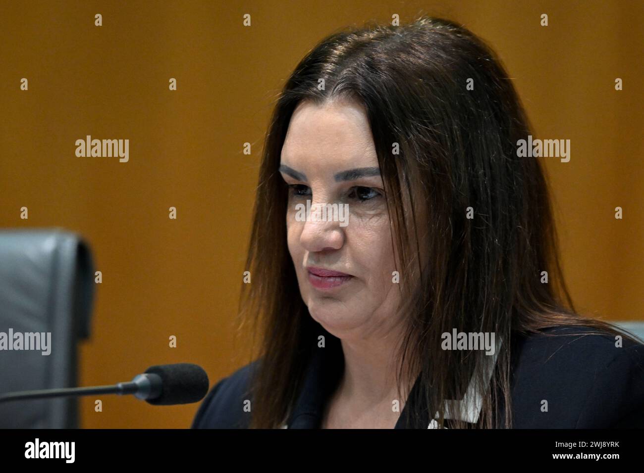 Canberra, Australia. 14th Feb, 2024. Senator Jacqui Lambie speaks