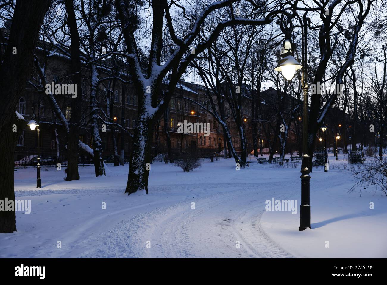 Trees, street lamps, buildings and pathway covered with snow in evening ...
