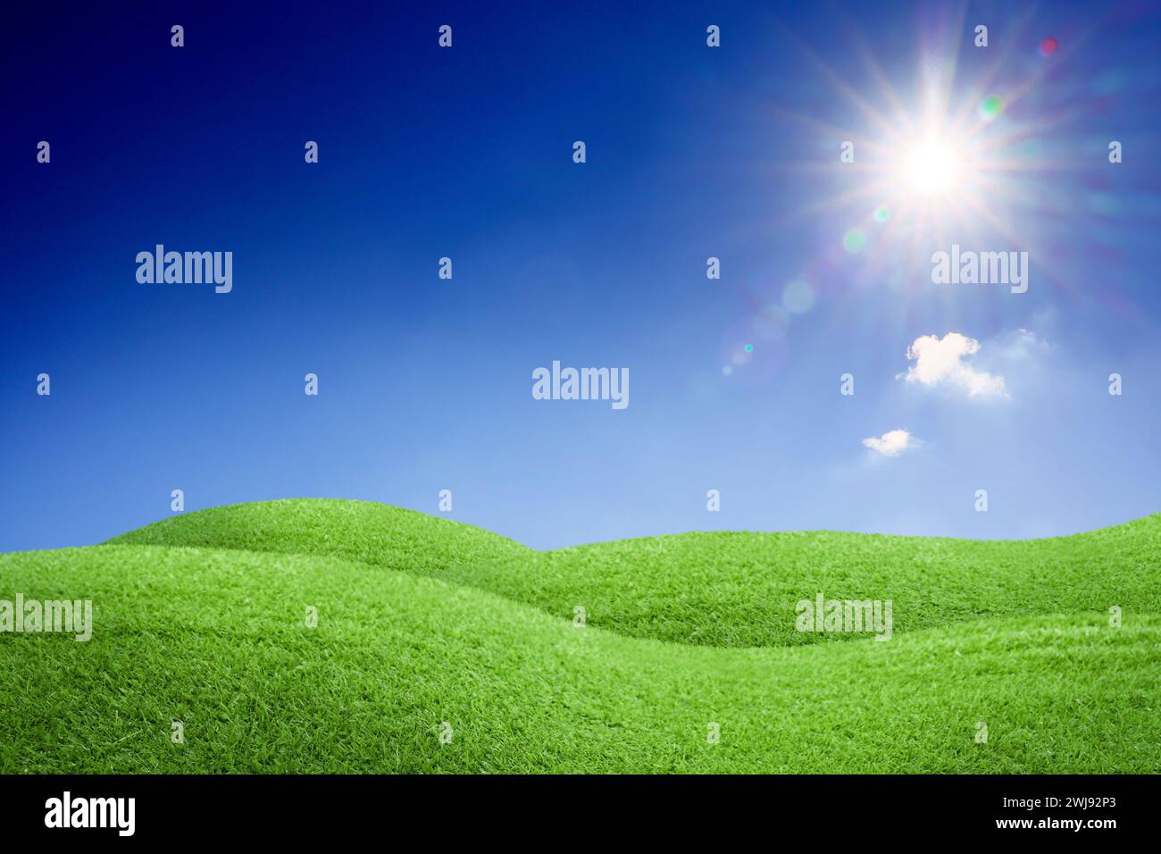 Lush green grass under blue sky on sunny day Stock Photo - Alamy