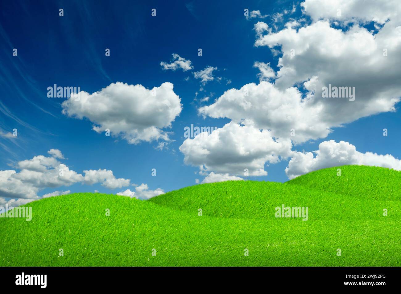 Lush green grass under blue sky with fluffy clouds Stock Photo - Alamy