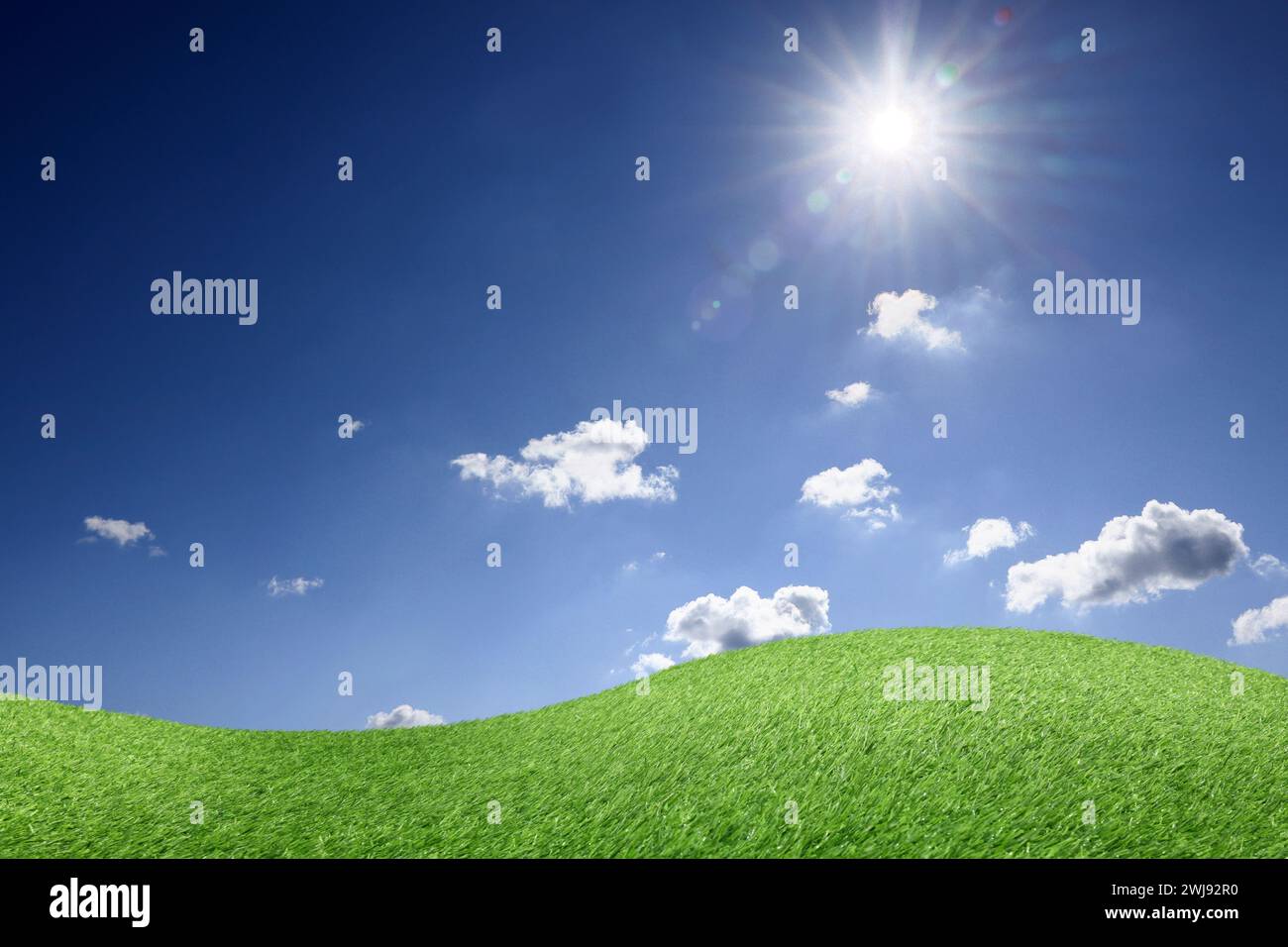 Lush green grass under blue sky with fluffy clouds on sunny day Stock ...