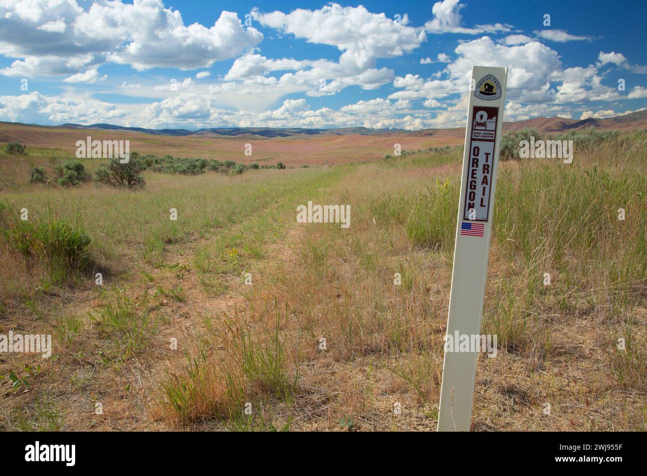 Birch Creek trail ruts, Oregon Trail National Historic Trail, Vale District Bureau of Land Management, Oregon Stock Photo