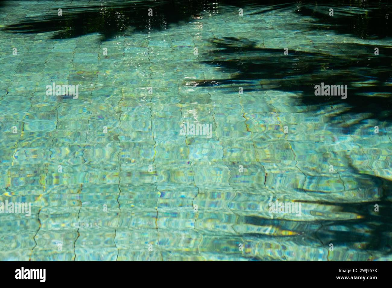 Sunny Reflection Water surface In swimming pool with sunny reflections and shadows Stock ...