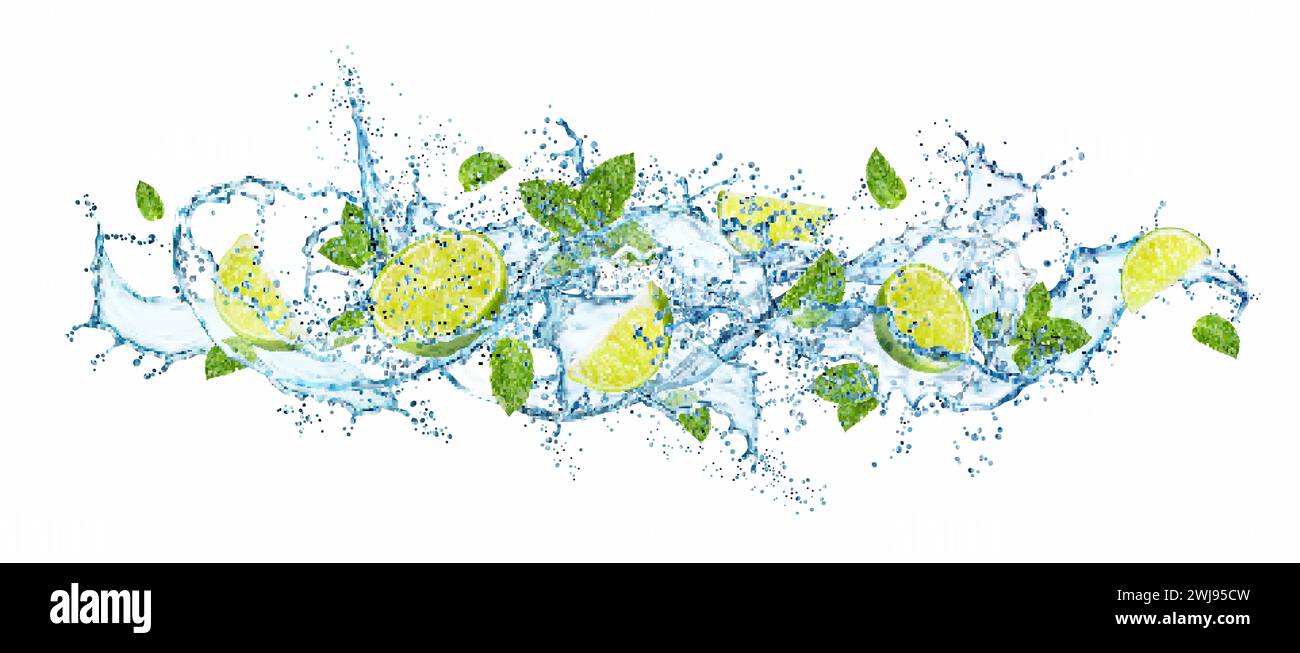 Long water wave flow splash with lime fruit and mint leaves, realistic ...
