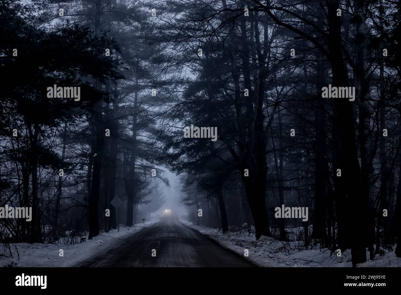 Headlights of a car on a sand road on a foggy early evening in winter in Mecosta County, Michigan, USA Stock Photo