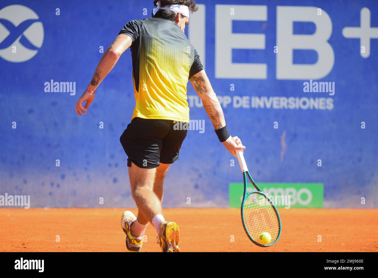 Thiago Seyboth Wild (Brazil). Argentina Open 2024 Stock Photo