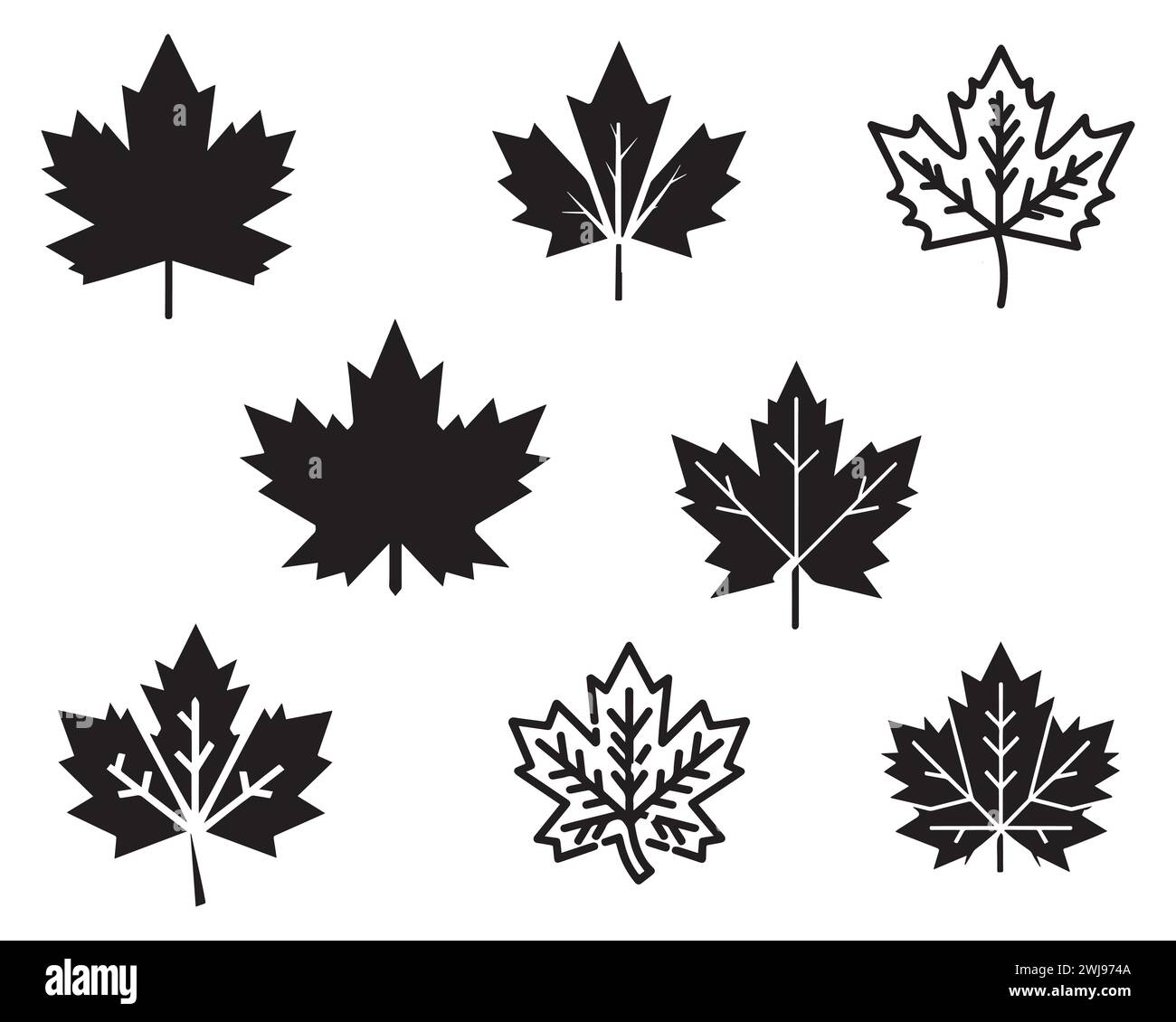 Leaf Drawing Vector PNG Transparent Background, Free Download #7080 -  FreeIconsPNG