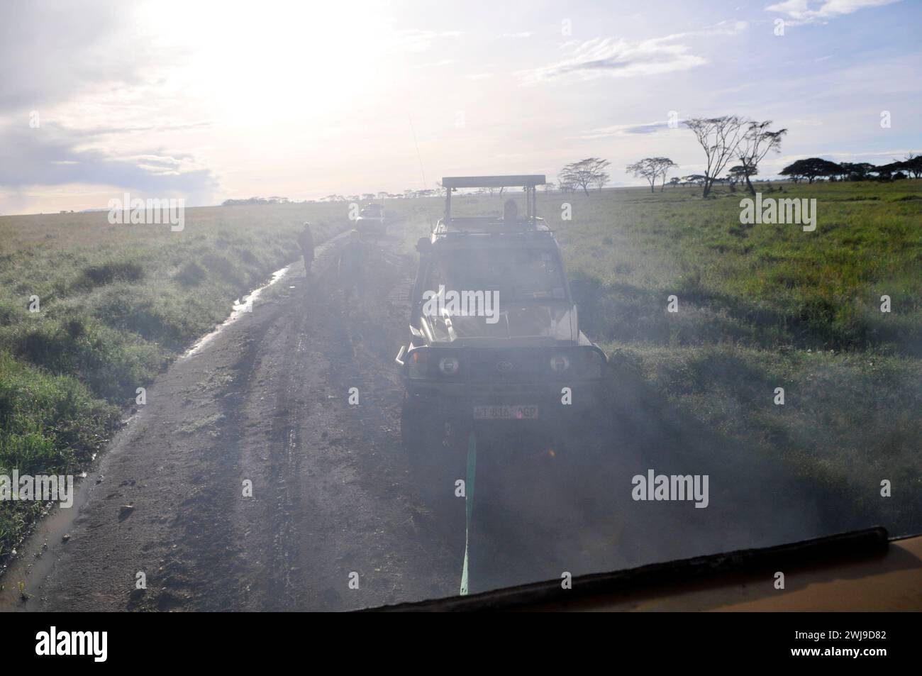 Pulling a stuck safari jeep in a muddy river in the Serengeti National Park in Tanzania. Stock Photo
