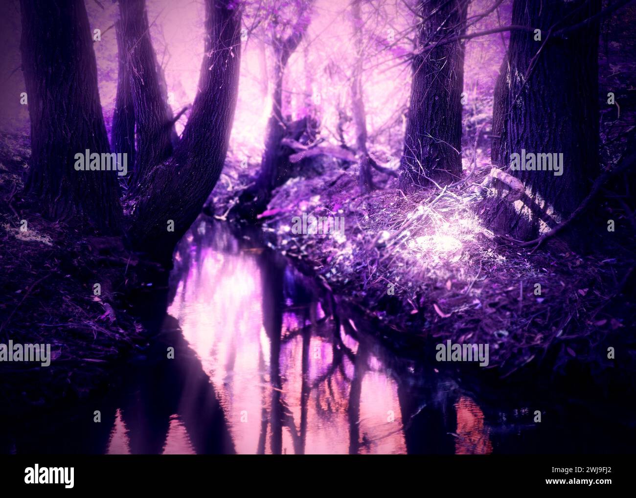 Trees and small river in the fantastic purple forest, photo manipulation. Stock Photo