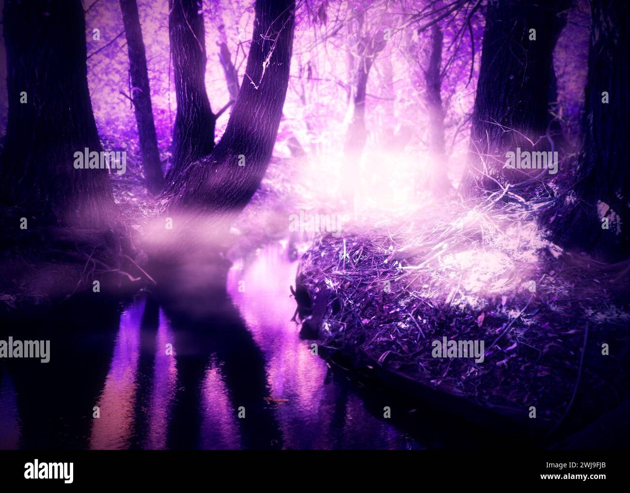 Trees and small river in the fantastic purple forest, photo manipulation. Stock Photo