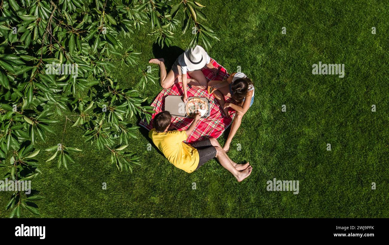 Family and friends eating pizza on summer picnic in park, relaxing on grass and having fun, aerial drone view from above Stock Photo