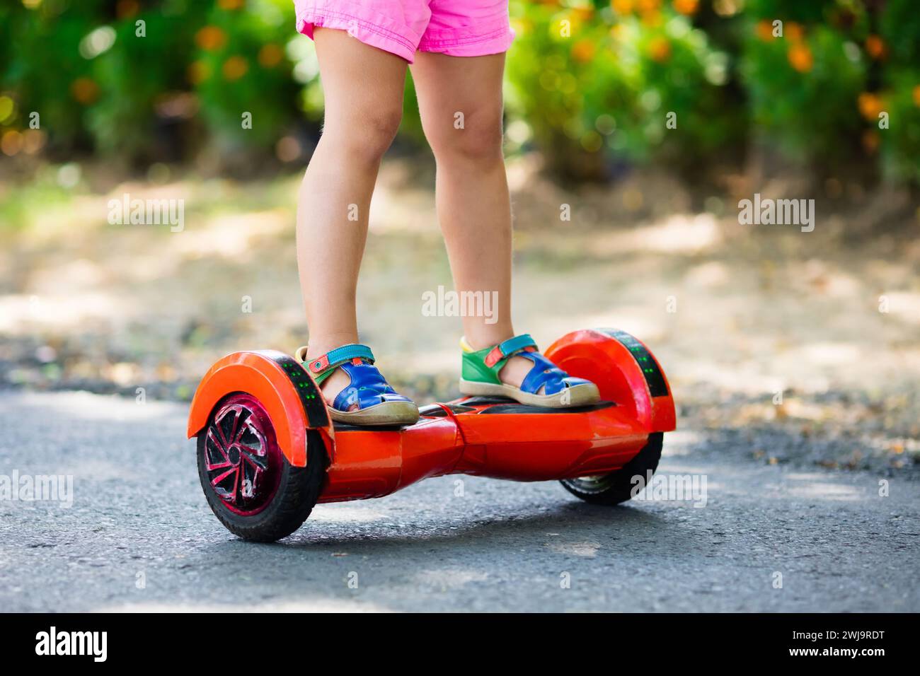 Child on hover board. Kids riding scooter in summer park. Balance board for children. Electric self balancing scooter on city street. Stock Photo