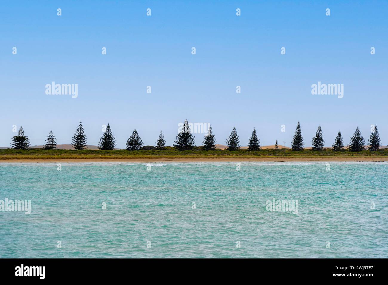 Surf beach in Beachport, South Australia Stock Photo Alamy