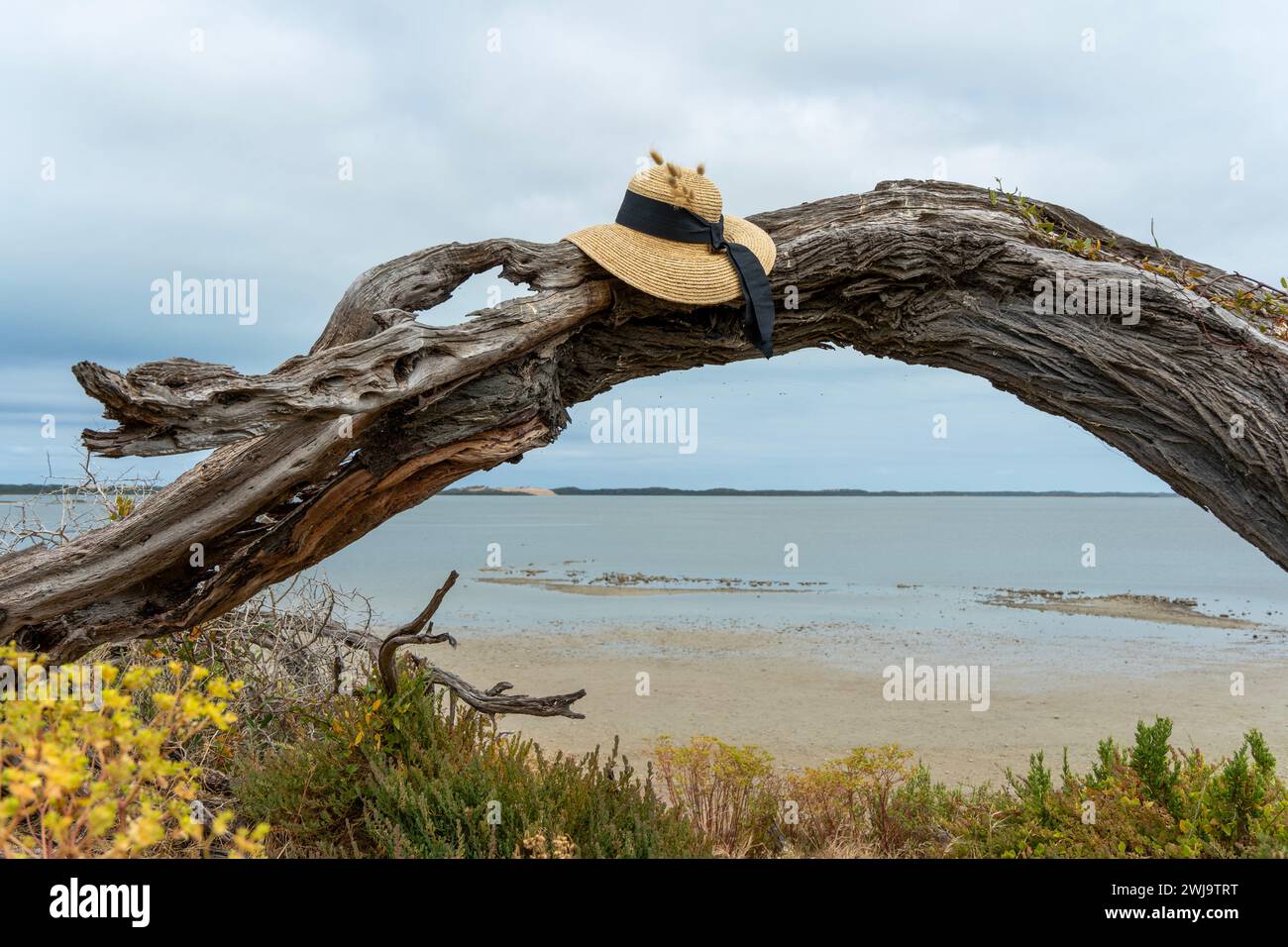 Vintage beach straw hat hi-res stock photography and images - Alamy
