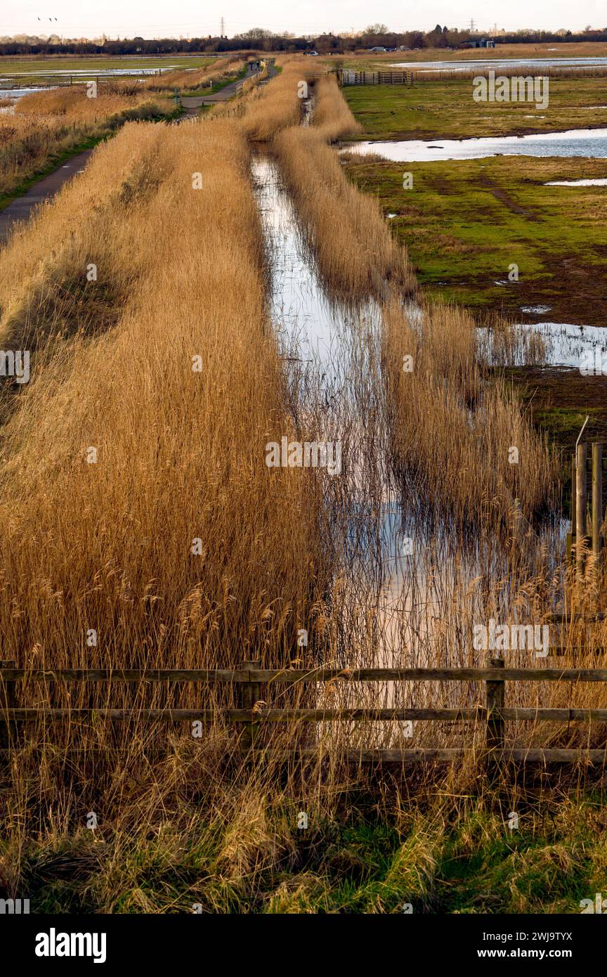 RSPB Frampton Marsh nature reserve seen from off the sea bank looking
