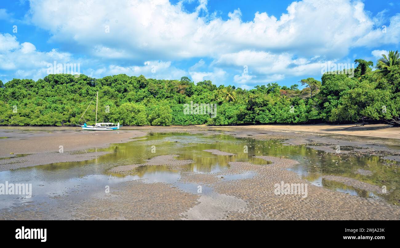 Low tide and rainforest at Mission Beach, Far North Queensland Stock