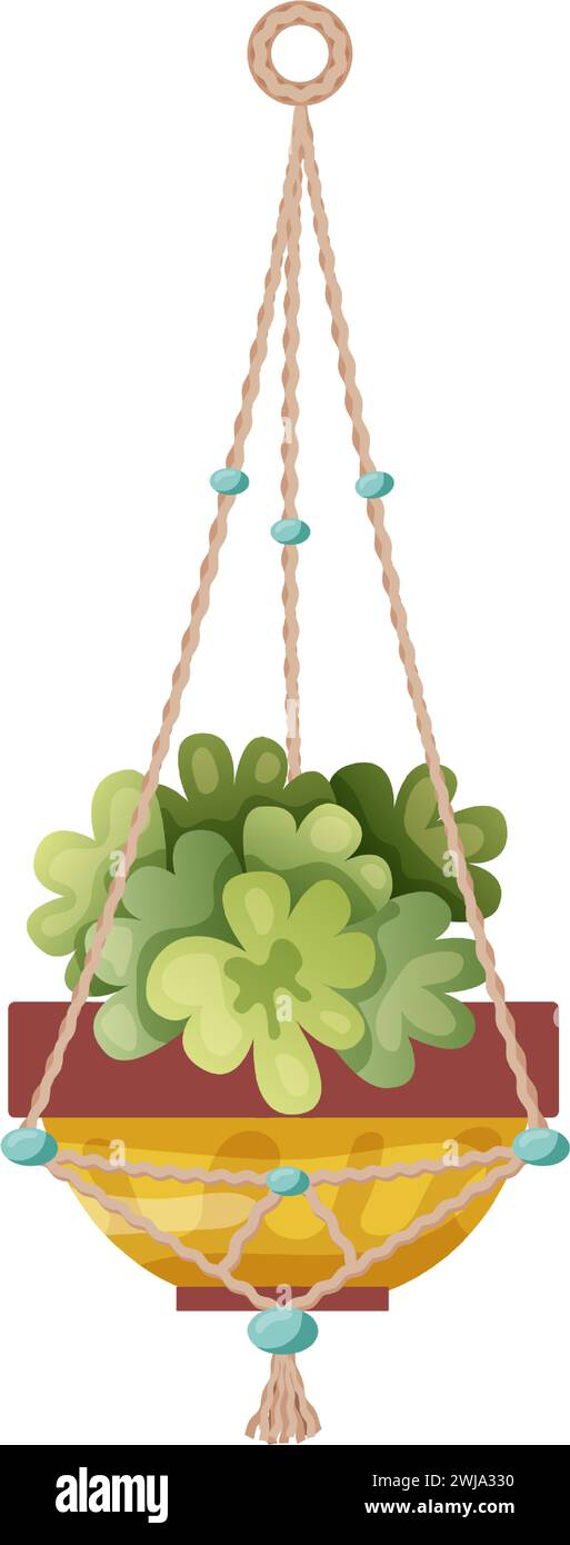 Houseplant and macrame plant growing in pots. Beautiful handmade home ...