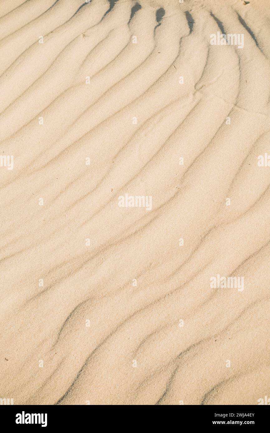 Close-up of natural sand patterns creating soft, wave-like textures on a beach, with a serene and simple aesthetic Stock Photo