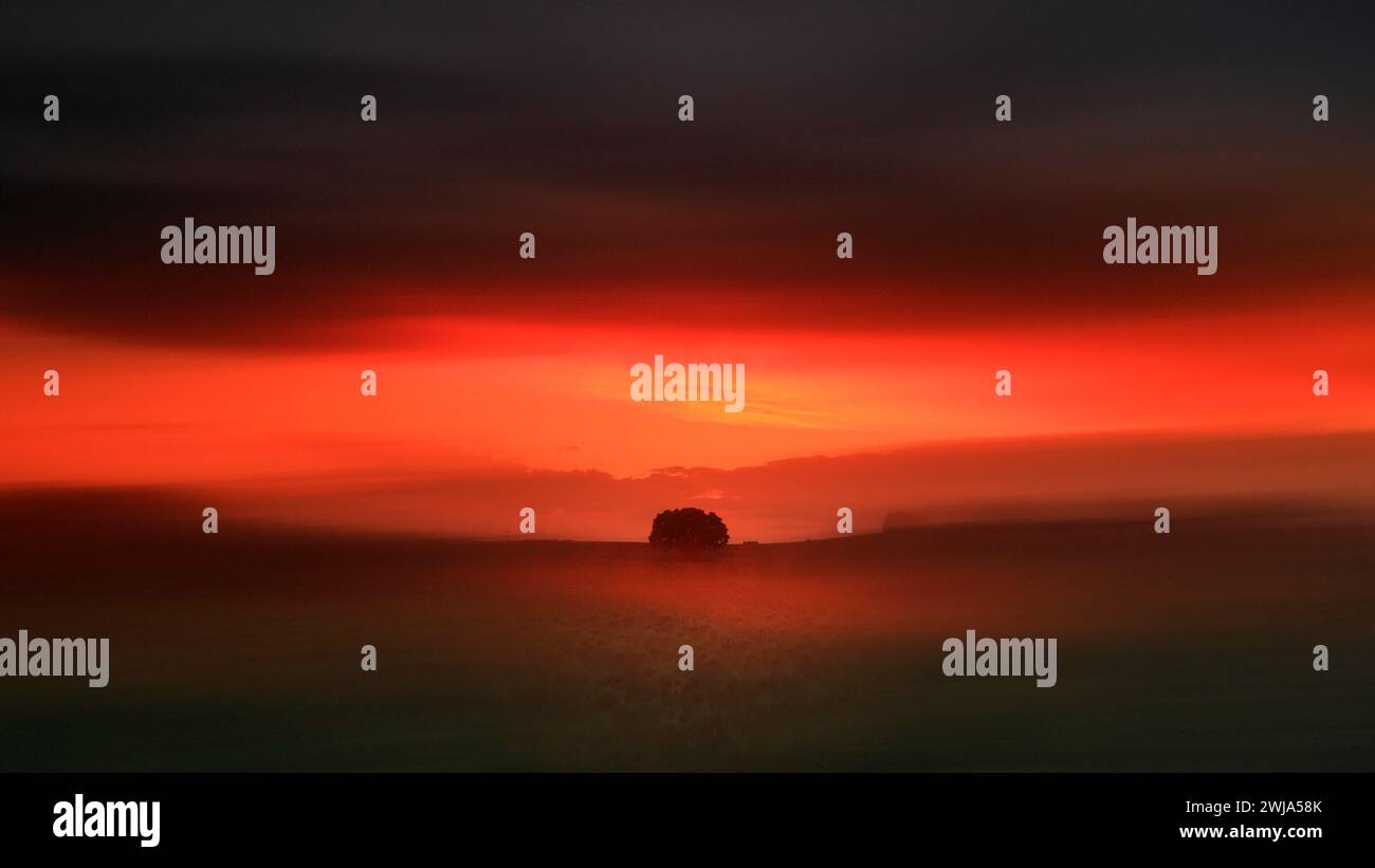 Enveloped in vibrant colors hi-res stock photography and images - Alamy