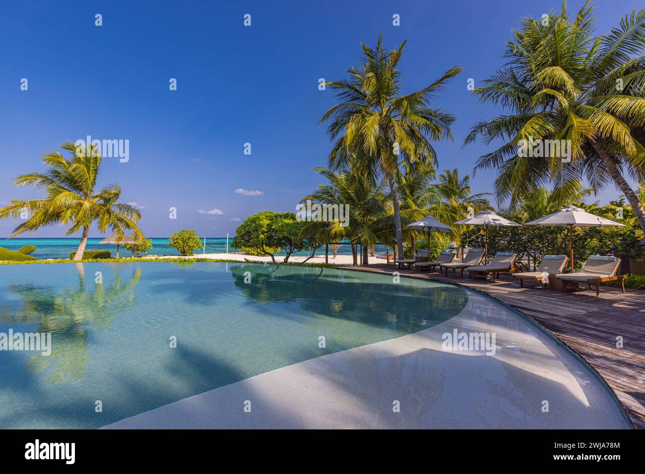 Outdoor summer tourism landscape. Luxury beach resort with swimming pool and beach chairs or loungers under umbrellas with palm trees and blue sky Stock Photo