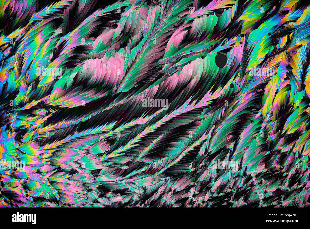 A digital abstract texture that resembles colorful, vibrant feathers in a chaotic arrangement Stock Photo