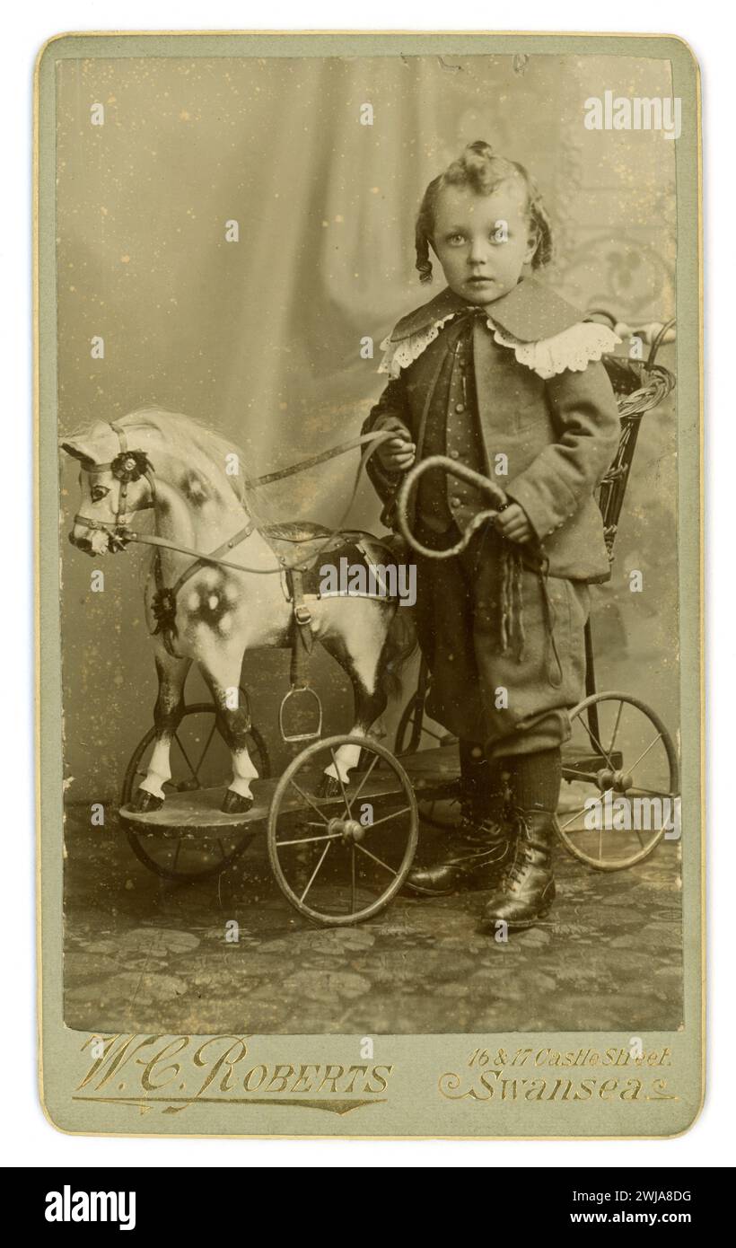 Original, charming, Victorian CDV  Carte de Visite ( visiting card or CDV) of cute young Welsh boy, with hair in ringlets, wearing an elaborate Little Lord Fauntleroy outfit, with a lace collar, knickerbockers probably the studio's as is outsize!, standing next to a beaurtiful toy horse on wheels, a studio prop, posing for a  portrait at the photographic studio of W C Roberts of 16 17 Castle St. Swansea, U.K. circa late 1880's - 1890's. Stock Photo
