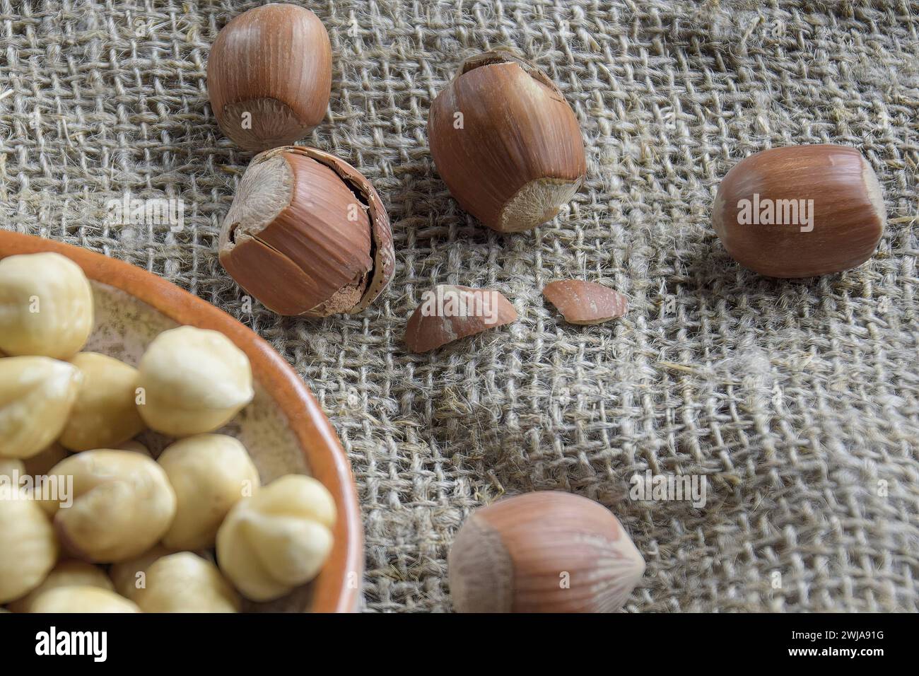 Ripe filbert kernels and hazelnuts in a shell on burlap background ...
