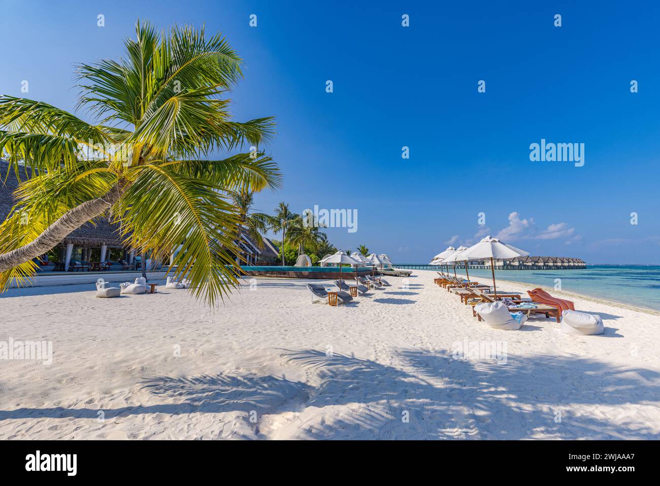 Relax tourism landscape. Luxurious beach resort with swimming pool and beach chairs or loungers leisure lifestyle, under umbrellas, palm trees sandy Stock Photo