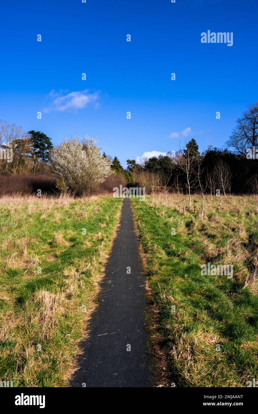 Local Park nr Taplow Weir, Buckinghamshire, England, UK, GB. Stock Photo