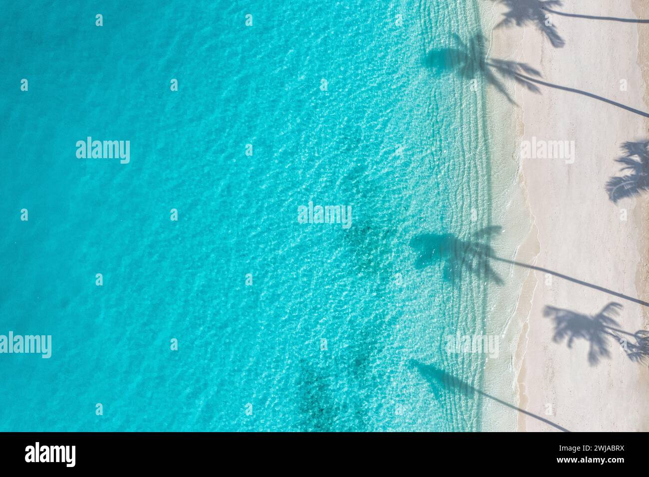 Palm trees shadow on the sandy beach and turquoise ocean from above ...