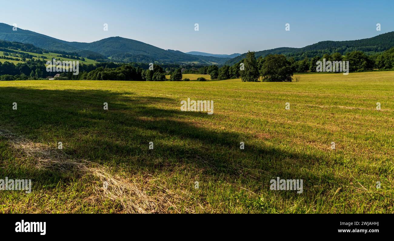 Rolling landscape with mix of meadows and forest with higher hills above during summer morning with clear sky above Loucna nad Desnou in Czech republi Stock Photo